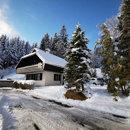 Holiday Home Davca Церкно Екстер'єр фото