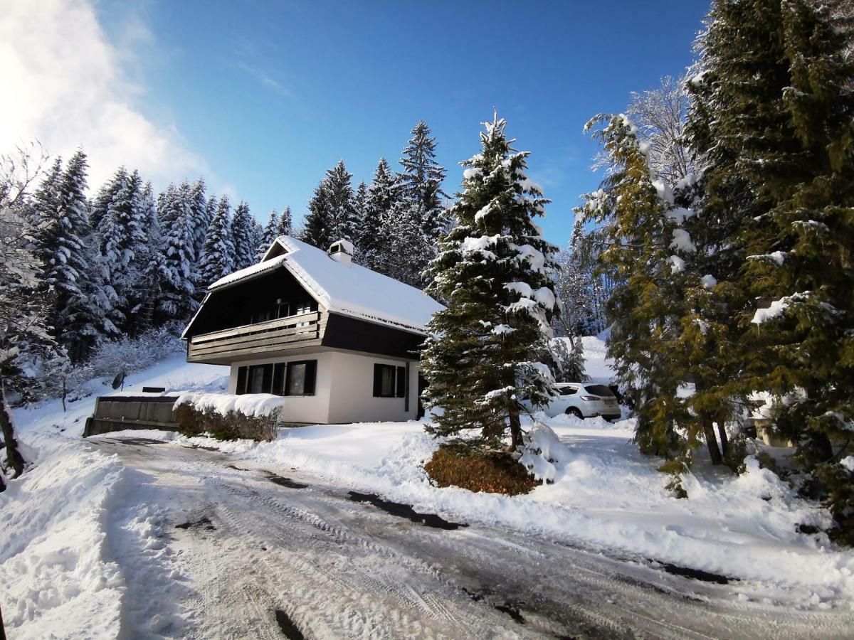 Holiday Home Davca Церкно Екстер'єр фото